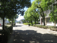 学校風景01